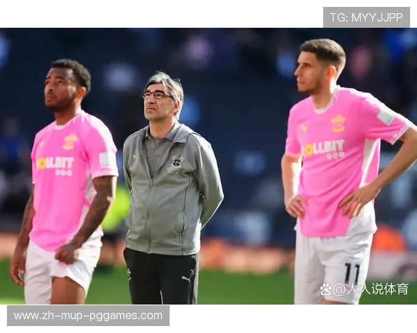 英超球队“南安普顿”的历史与外号由来解析 英超球队“南安普顿”的历史与外号由来解析